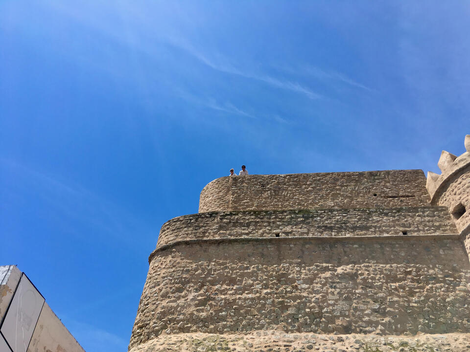 Hey, Look Up