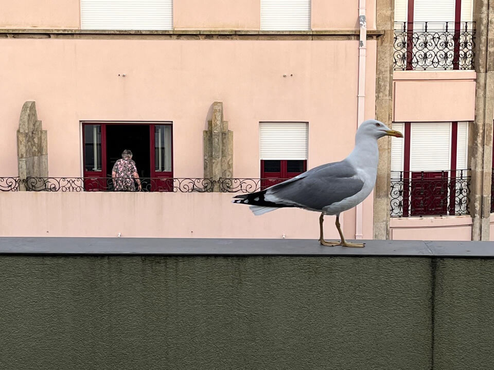 Neighbor Detente