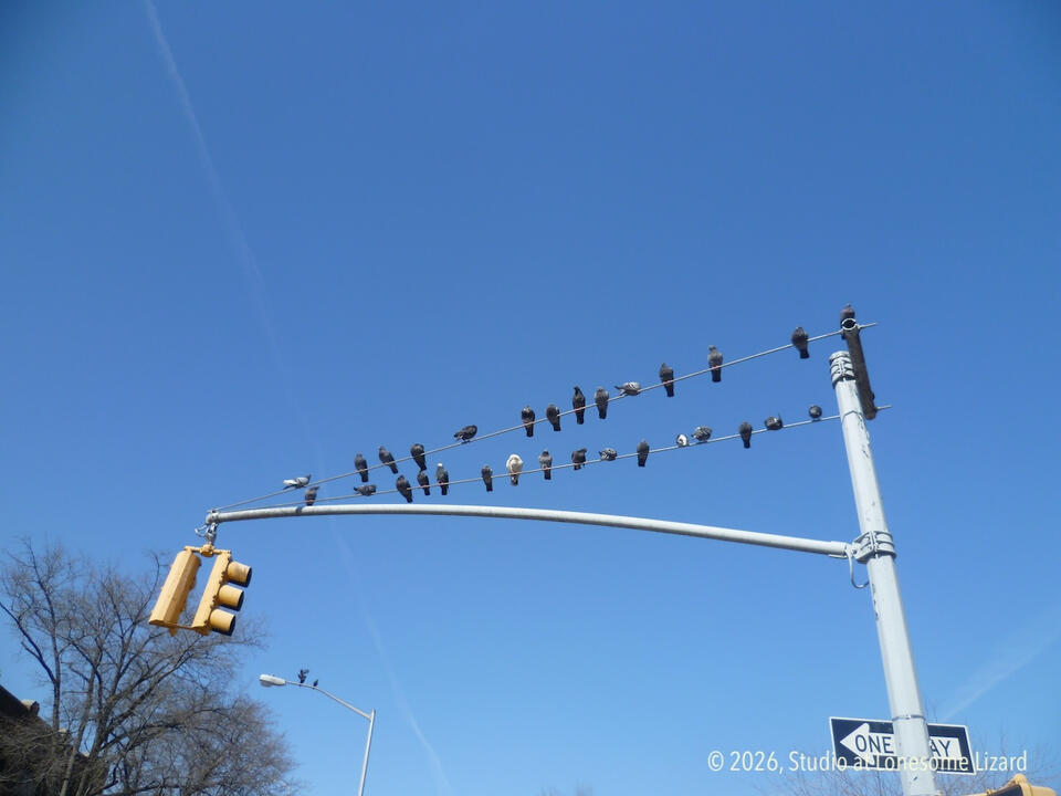 Resting Birds II