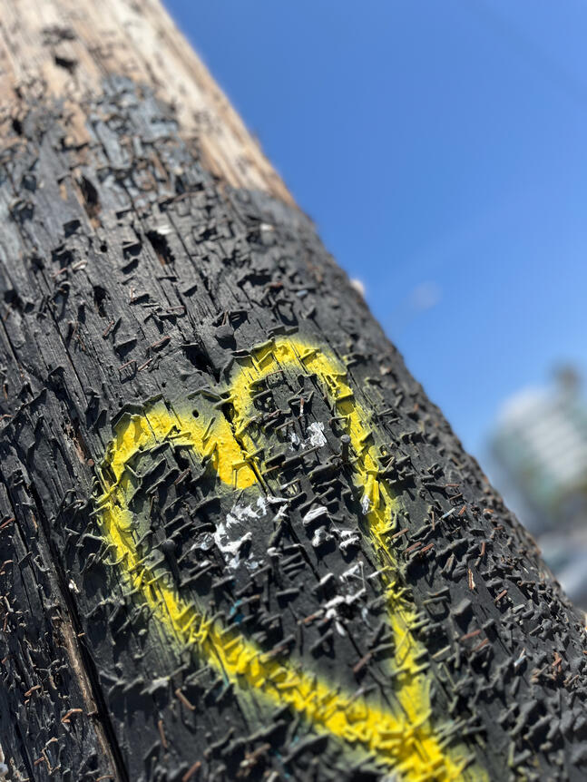 Found Art IV