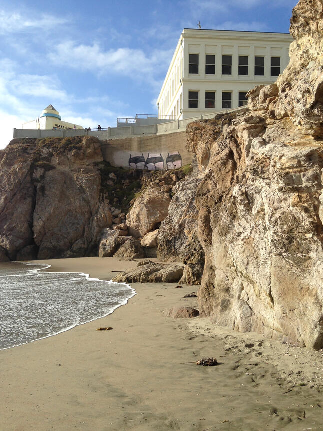 View from the Beach