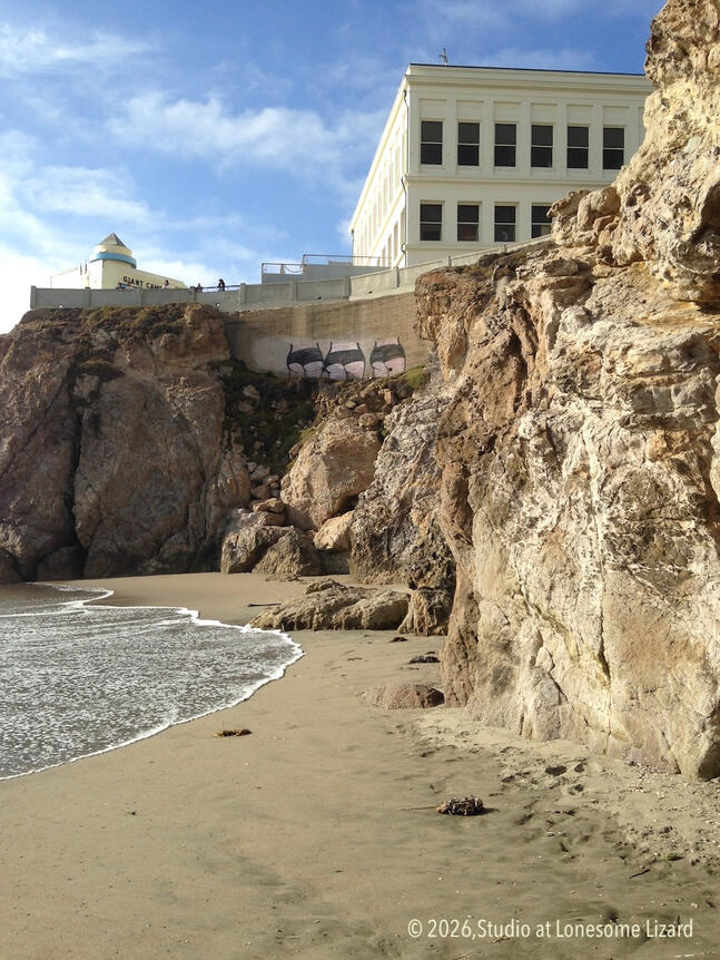 View from the Beach