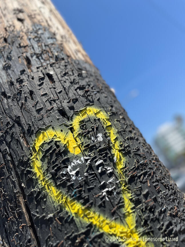 Found Art IV