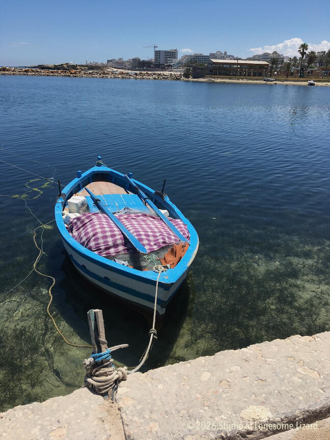 Mona's Boat