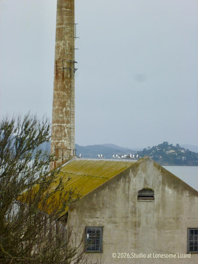 Birds Resting I